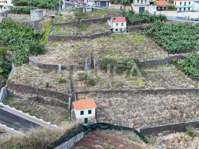 Terreno para Venda em Camara de Lobos Foto 23