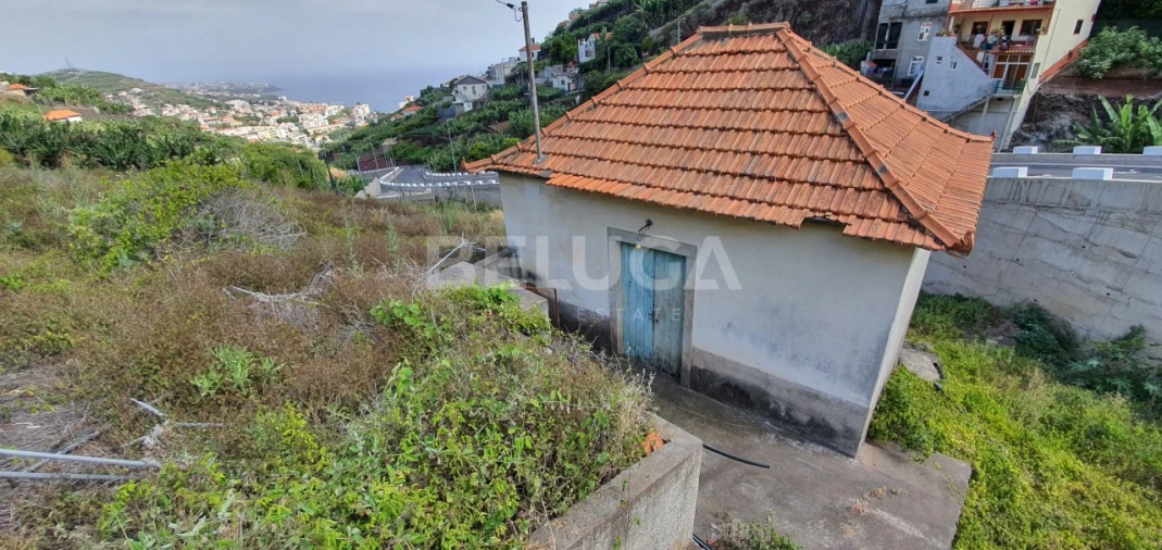 Terreno para Venda em Camara de Lobos Foto 25