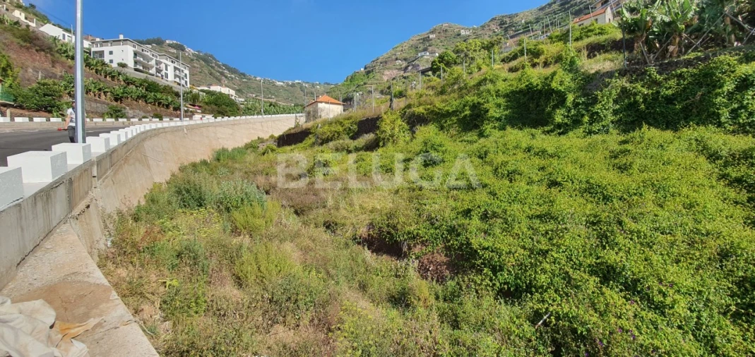 Terreno para Venda em Camara de Lobos Foto 26