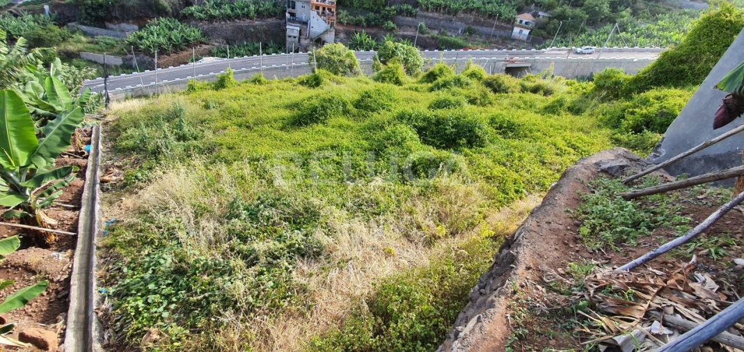 Terreno para Venda em Camara de Lobos Foto 28