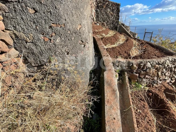 Terreno para Venda em Camara de Lobos Foto 39