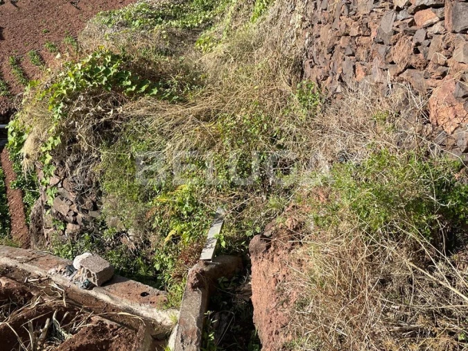 Terreno para Venda em Camara de Lobos Foto 40