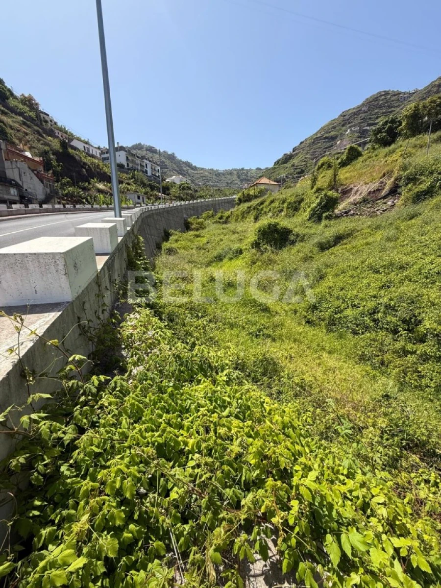 Terreno para Venda em Camara de Lobos Foto 46