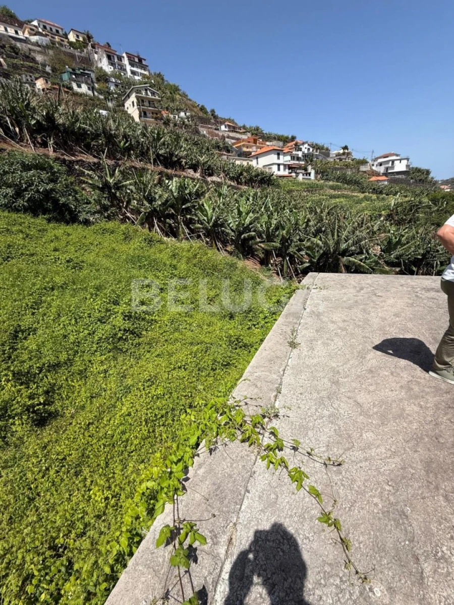 Terreno para Venda em Camara de Lobos Foto 47