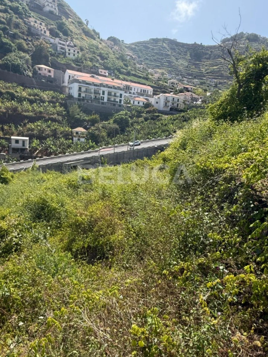 Terreno para Venda em Camara de Lobos Foto 51