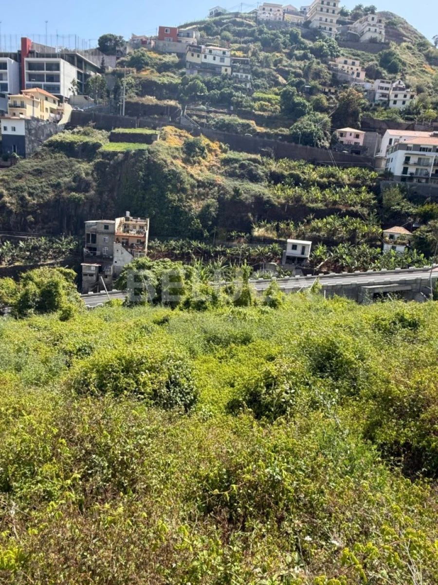 Terreno para Venda em Camara de Lobos Foto 52