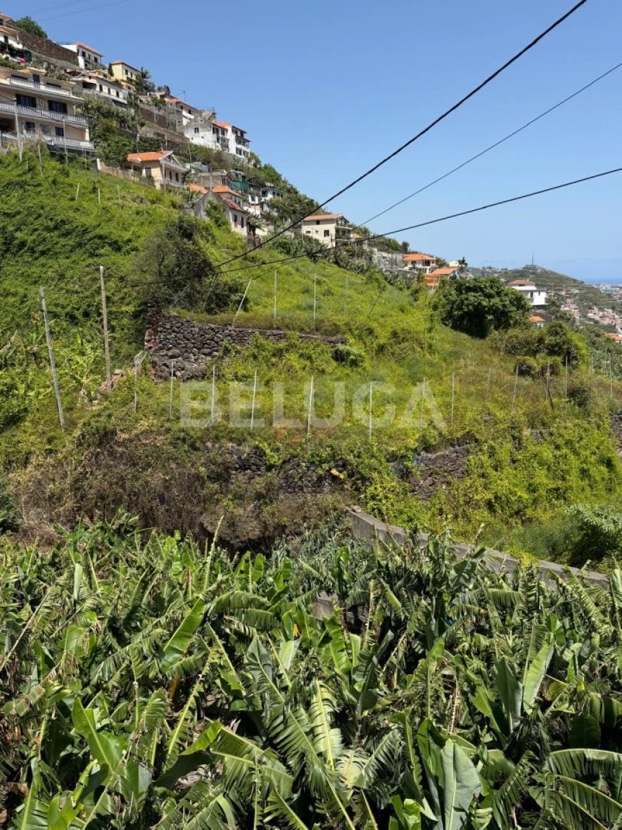 Terreno para Venda em Camara de Lobos Foto 57