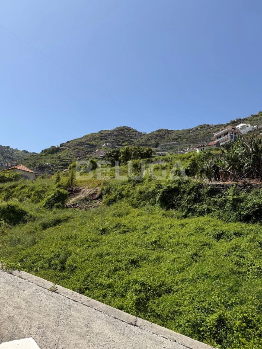 Terreno para Venda em Camara de Lobos Foto 62