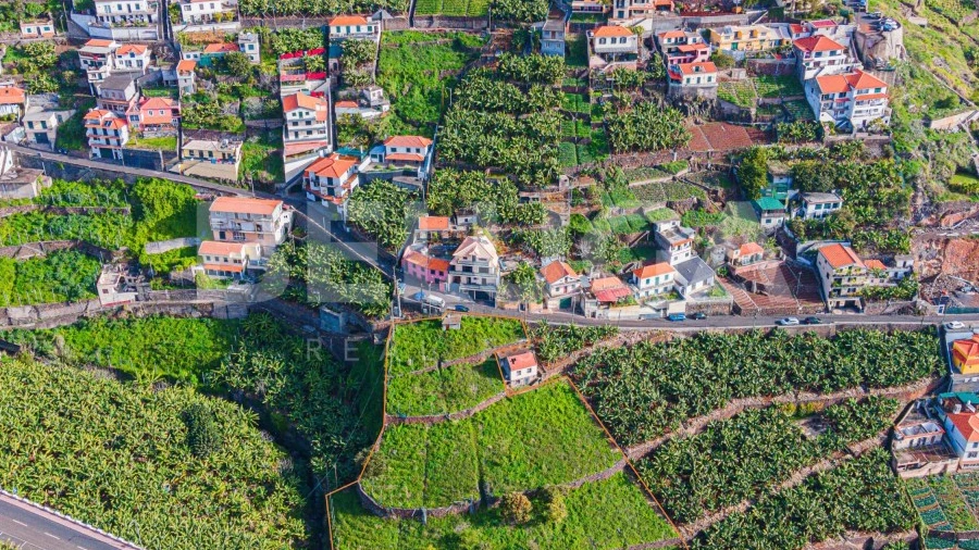 Terreno para Venda em Camara de Lobos