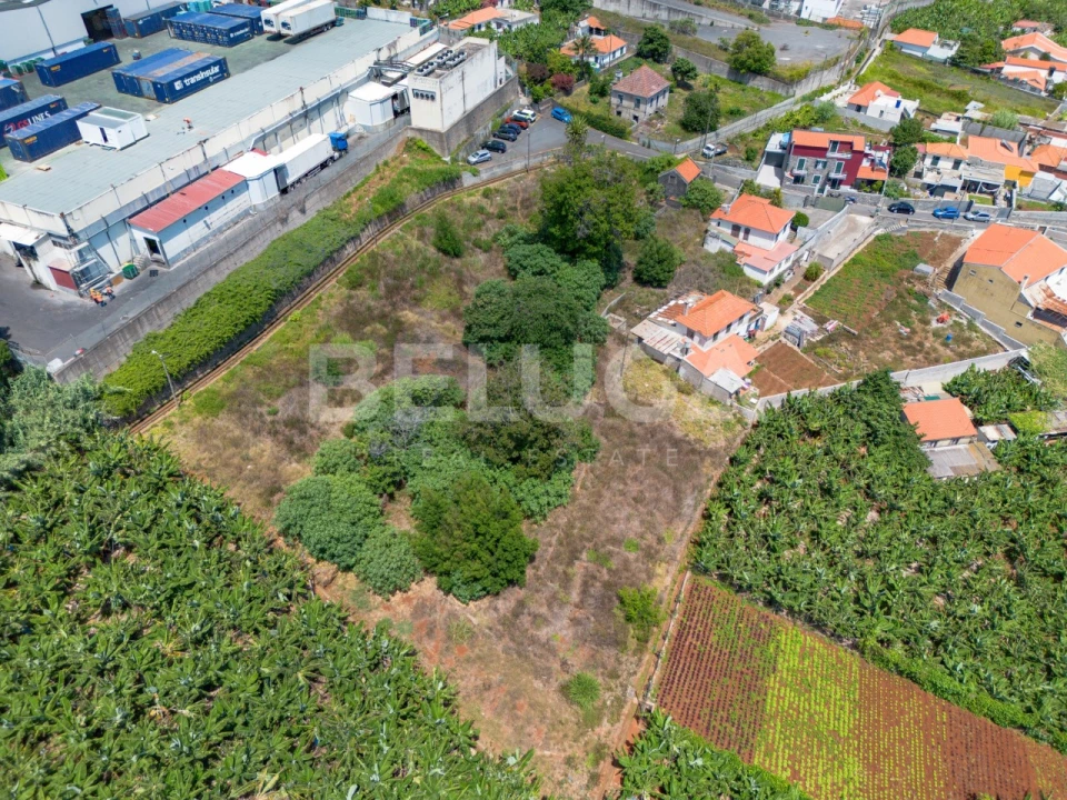 Terreno para Venda em São Martinho Foto 16