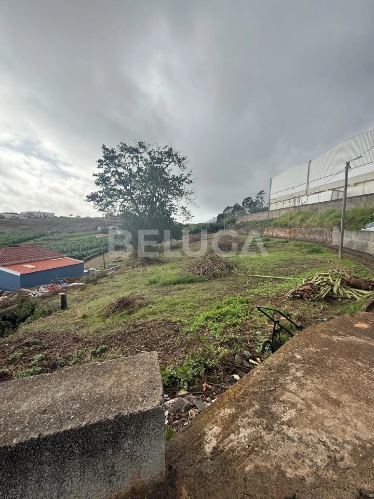 Terreno para Venda em São Martinho Foto 23