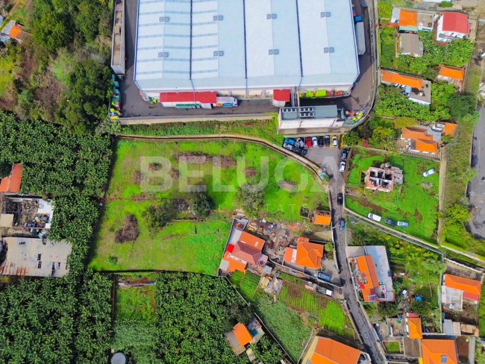 Terreno para Venda em São Martinho Foto 7