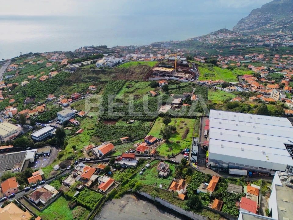 Terreno para Venda em São Martinho Foto 8