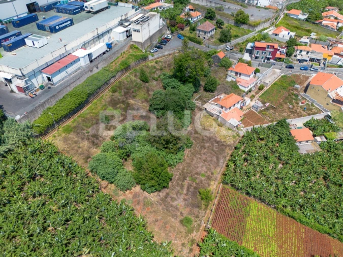 Terreno para Venda em São Martinho Foto 16
