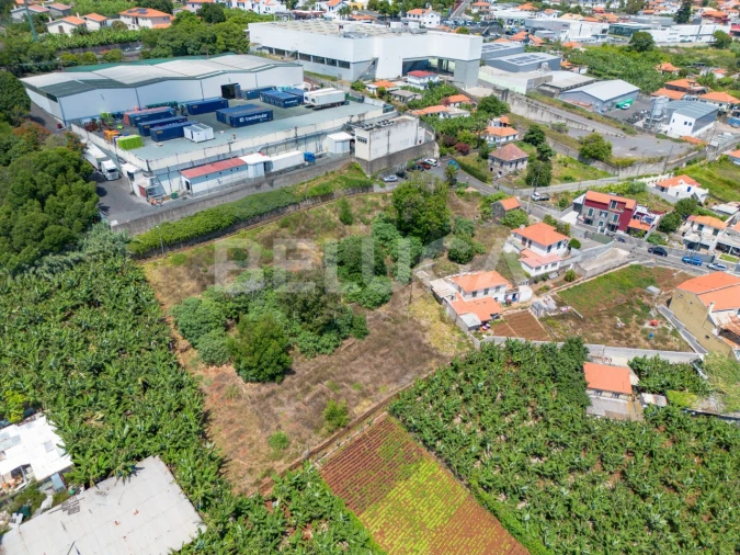 Terreno para Venda em São Martinho Foto 17