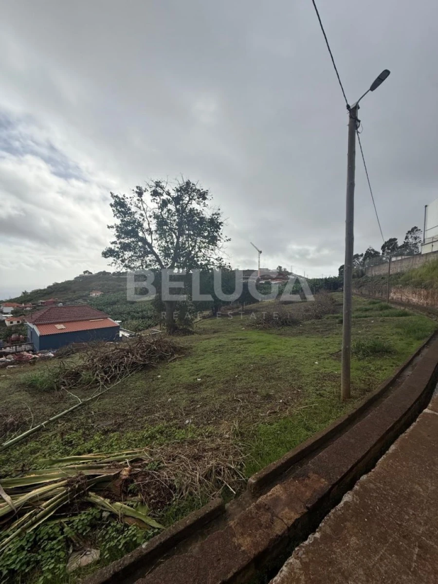 Terreno para Venda em São Martinho Foto 24