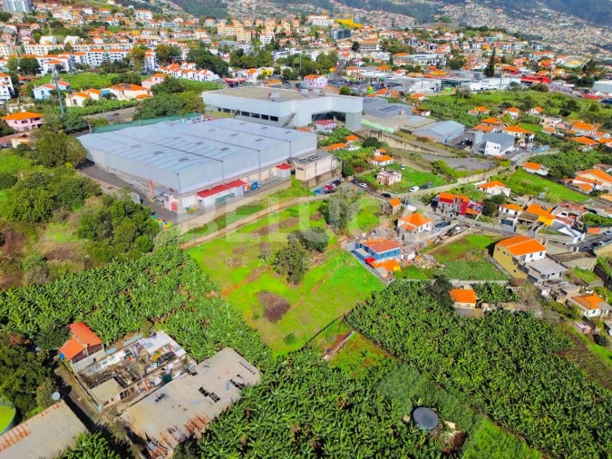 Terreno para Venda em São Martinho Foto 4