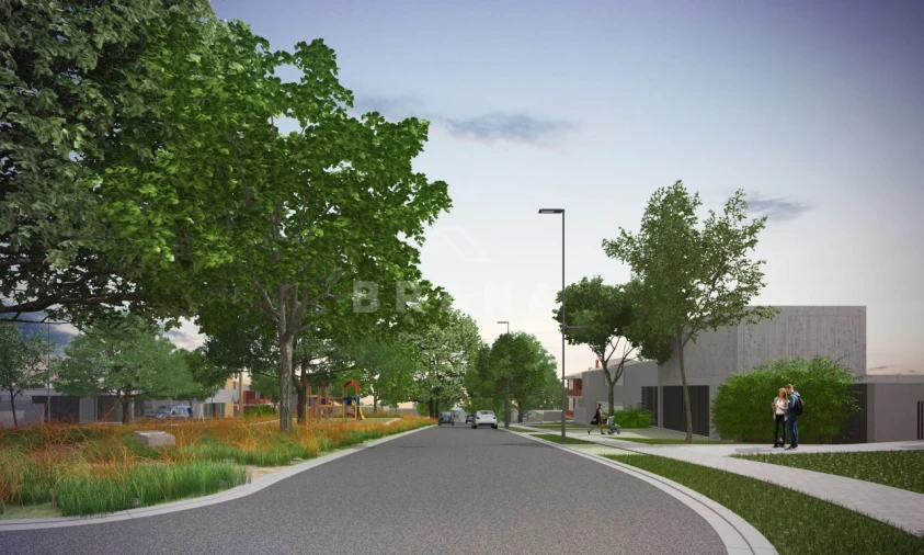 Terreno para Venda em Palmeira Foto 5