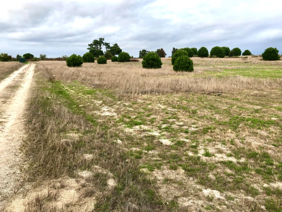 Terreno para Venda em Palmela Foto 5