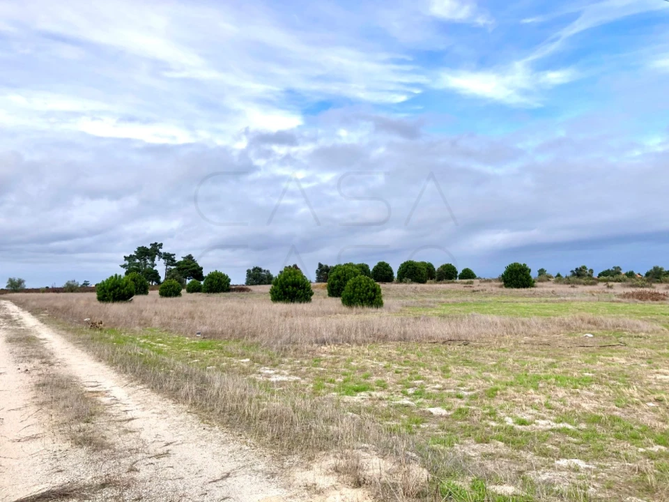 Terreno para Venda em Palmela Foto 6