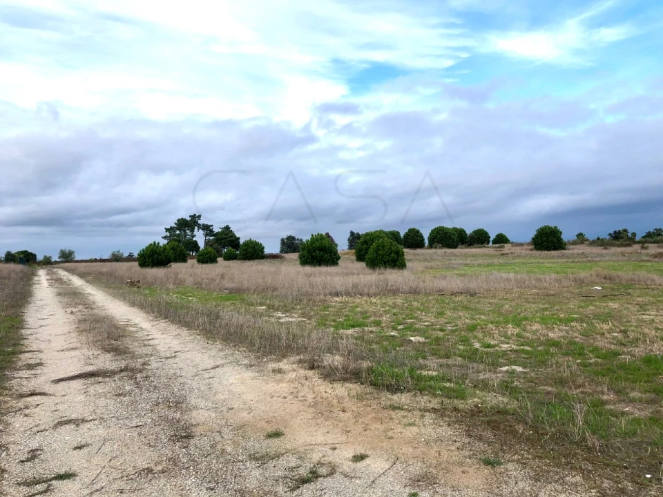 Terreno para Venda em Palmela Foto 7