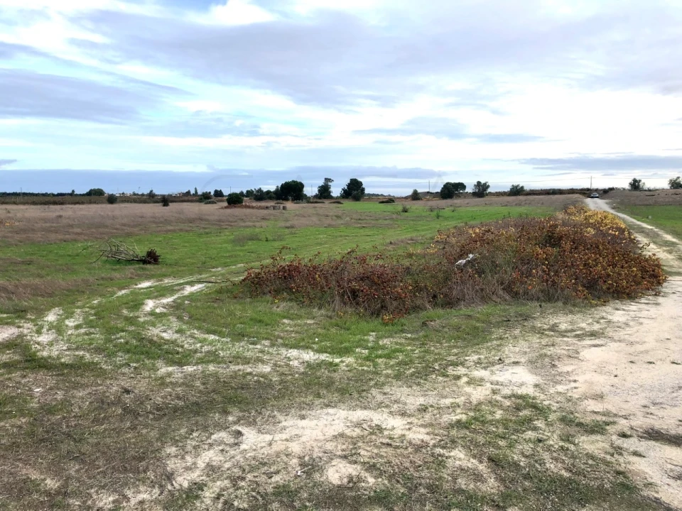 Terreno para Venda em Palmela Foto 10