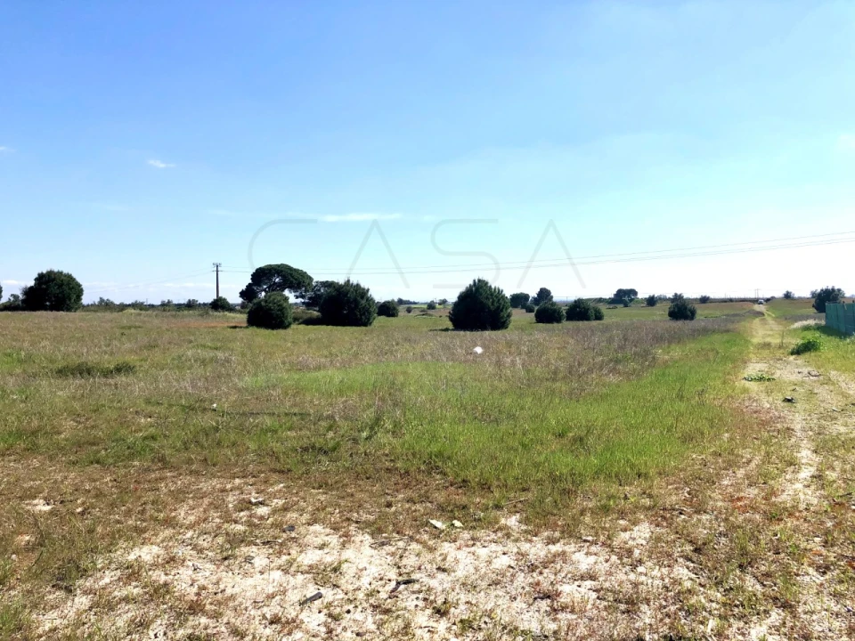 Terreno para Venda em Palmela Foto 13