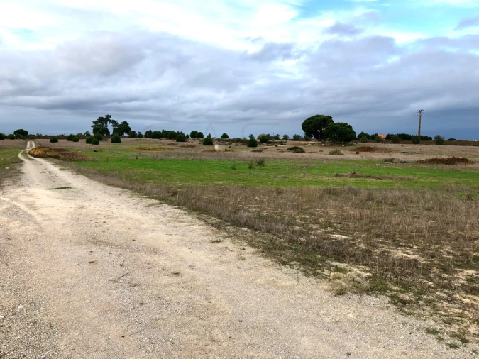 Terreno para Venda em Palmela Foto 11