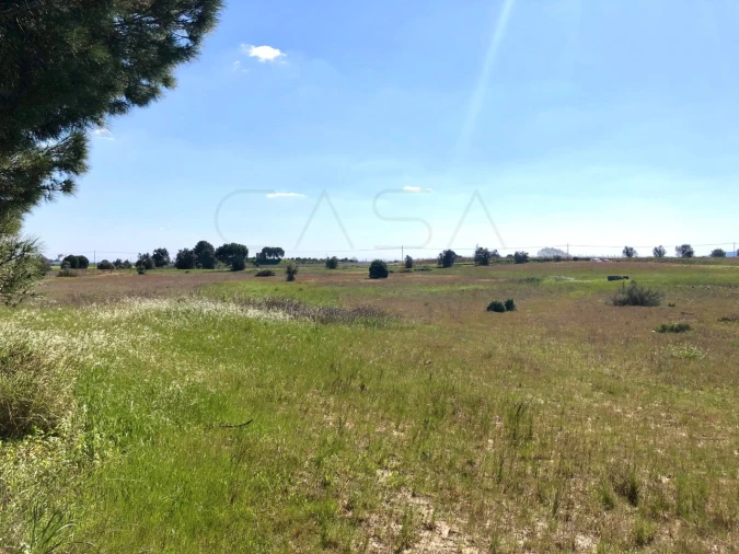 Terreno para Venda em Palmela Foto 14