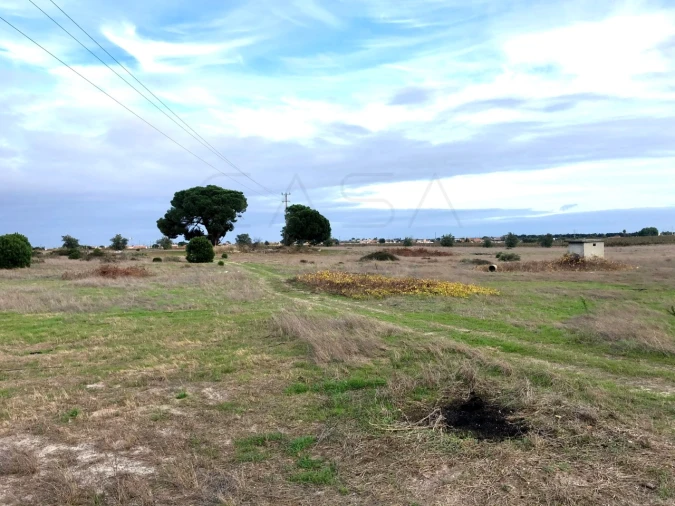 Terreno para Venda em Palmela Foto 17