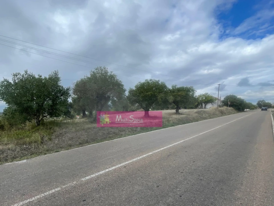 Terreno para Venda em Torres Novas (São Pedro), Lapas e Ribeira Branca Foto 1