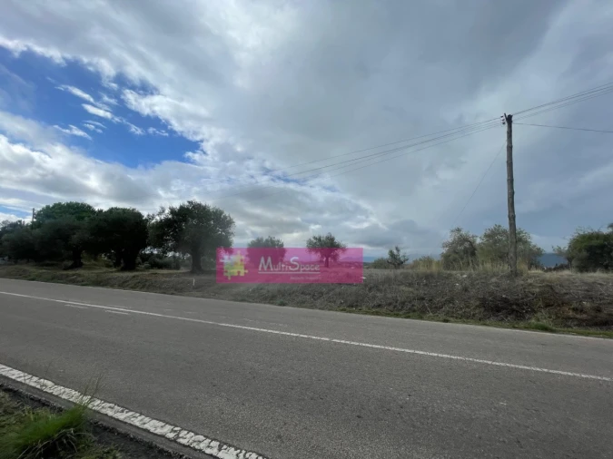 Terreno para Venda em Torres Novas (São Pedro), Lapas e Ribeira Branca Foto 2