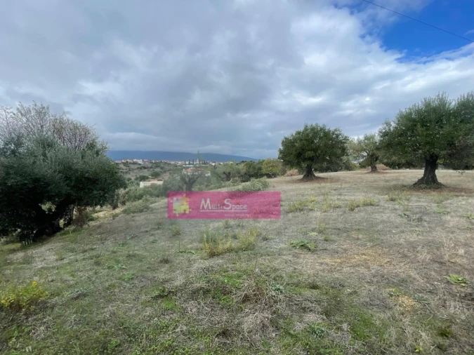 Terreno para Venda em Torres Novas (São Pedro), Lapas e Ribeira Branca Foto 7