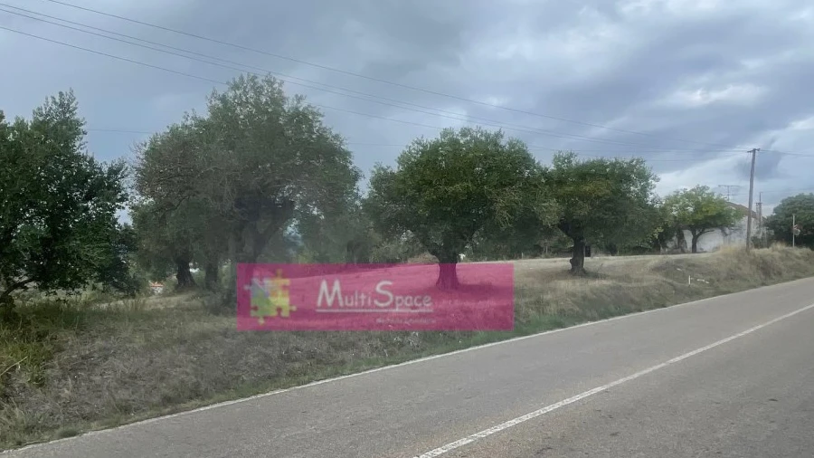 Terreno para Venda em Torres Novas (São Pedro), Lapas e Ribeira Branca