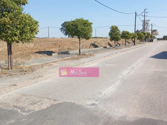 Terreno para Venda em São Pedro de Tomar Foto 3