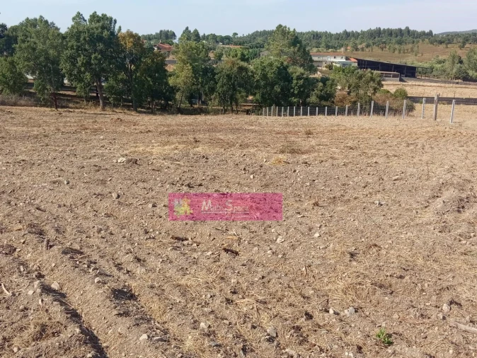 Terreno para Venda em São Pedro de Tomar Foto 2