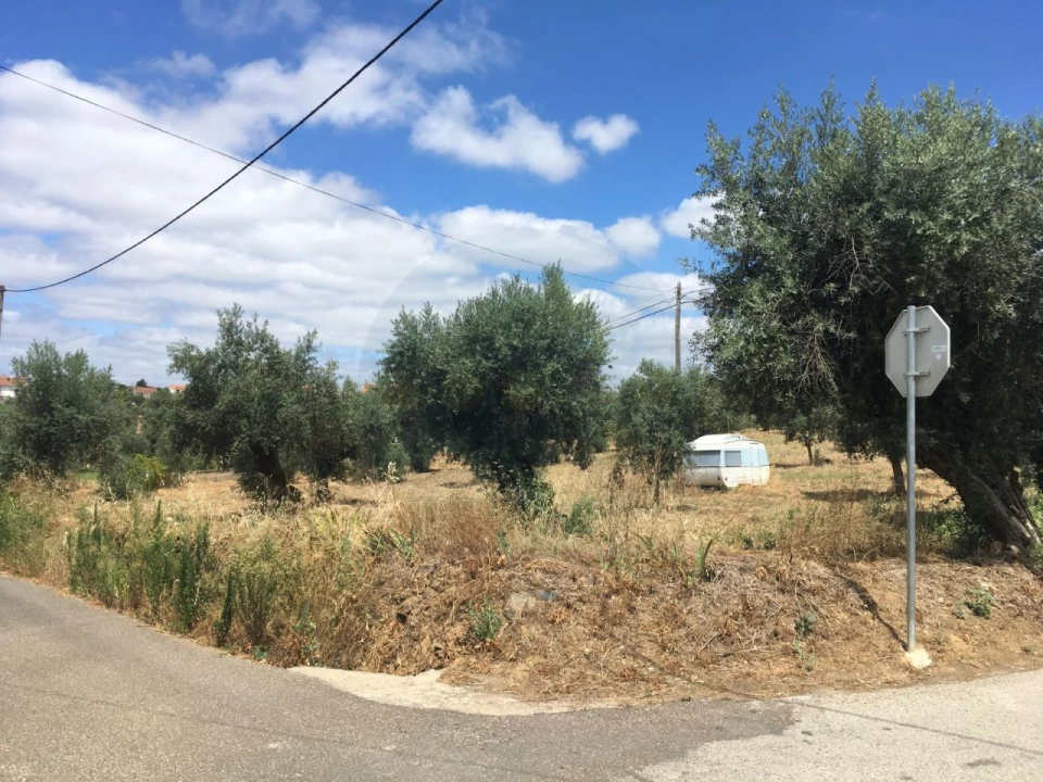 Terreno para Venda em Mouriscas Foto 2