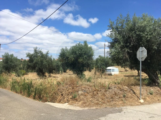 Terreno para Venda em Mouriscas Foto 2