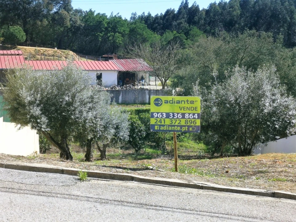 Terreno para Venda em São Miguel do Rio Torto e Rossio Ao Sul do Tejo Foto 5