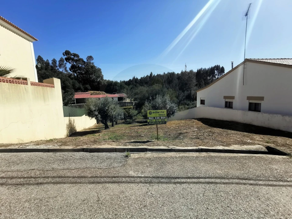 Terreno para Venda em São Miguel do Rio Torto e Rossio Ao Sul do Tejo Foto 8