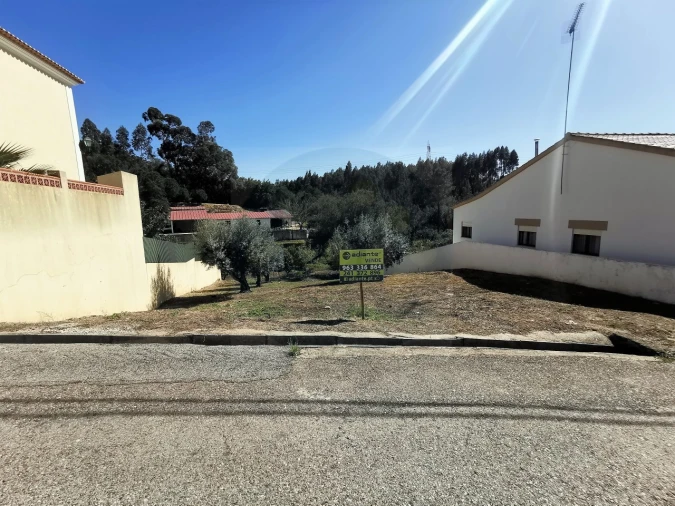 Terreno para Venda em São Miguel do Rio Torto e Rossio Ao Sul do Tejo Foto 7