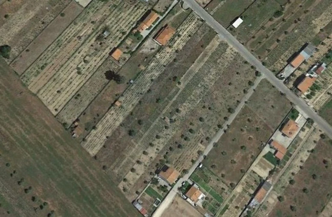 Terreno para Venda em São Miguel do Rio Torto e Rossio Ao Sul do Tejo Foto 9