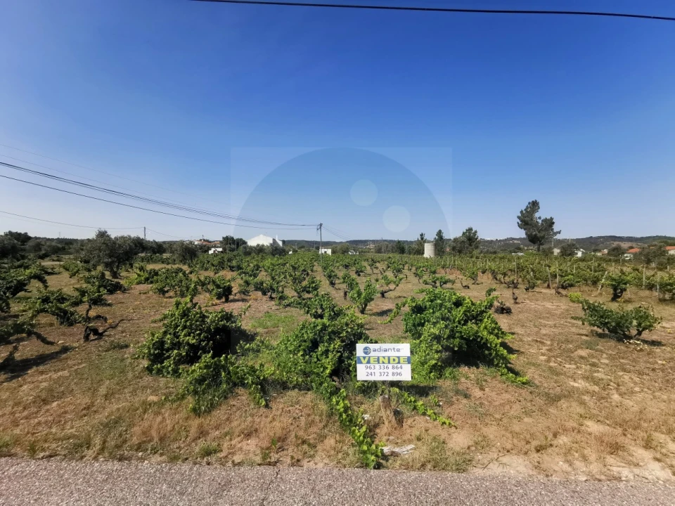 Terreno para Venda em São Miguel do Rio Torto e Rossio Ao Sul do Tejo Foto 1