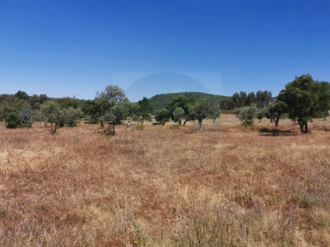 Terreno para Venda em Constancia Foto 2