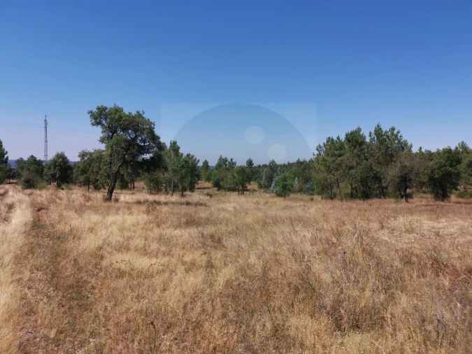 Terreno para Venda em Constancia Foto 1