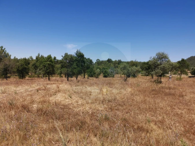 Terreno para Venda em Constancia Foto 3