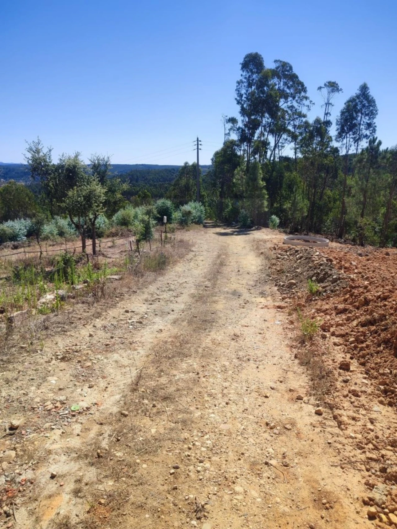 Terreno para Venda em Aldeia do Mato e Souto Foto 7