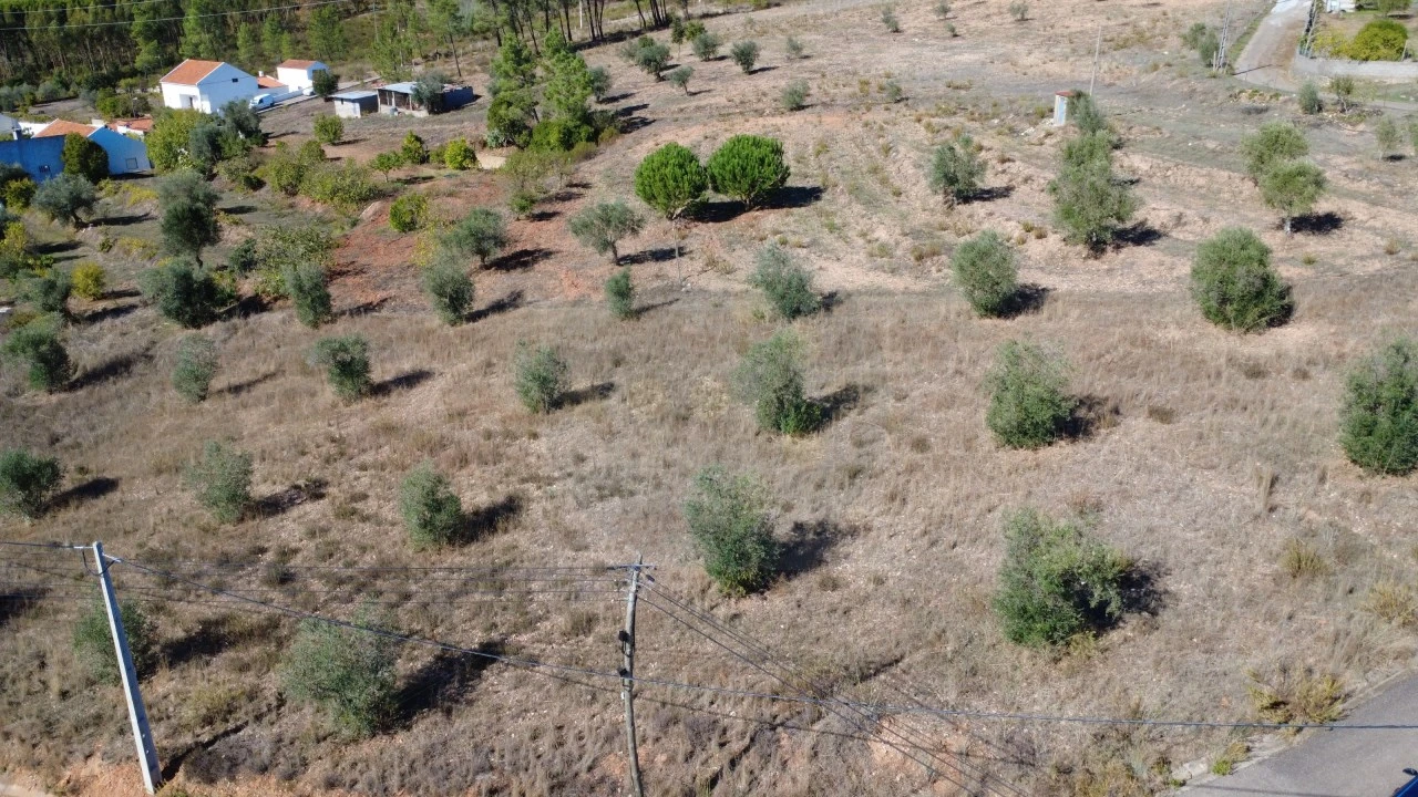 Terreno para Venda em Ortiga Foto 2