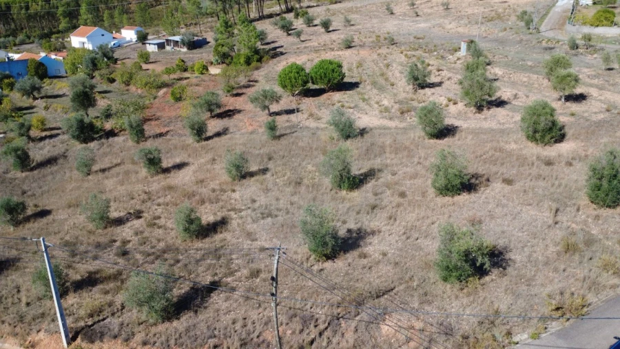 Terreno para Venda em Ortiga Foto 2