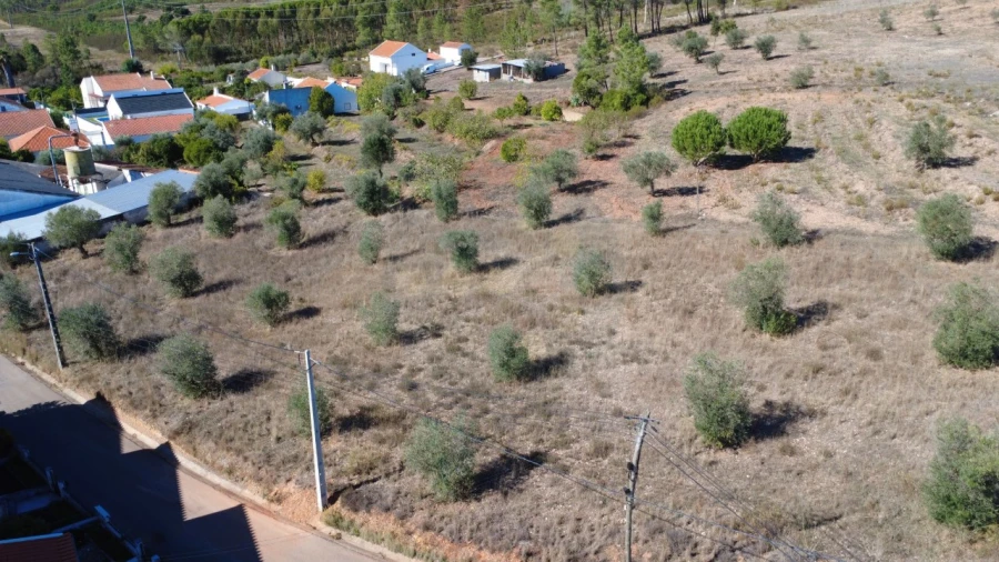 Terreno para Venda em Ortiga Foto 6